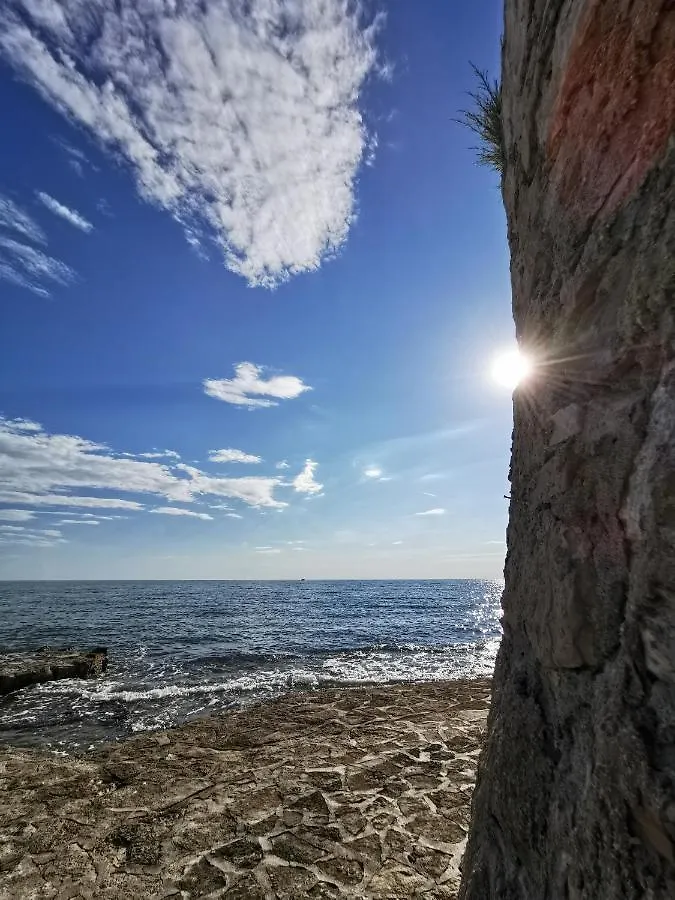 Ivan B&B, 5 Star Superior Room, Near The See And Park Novigrad Istria Κροατία