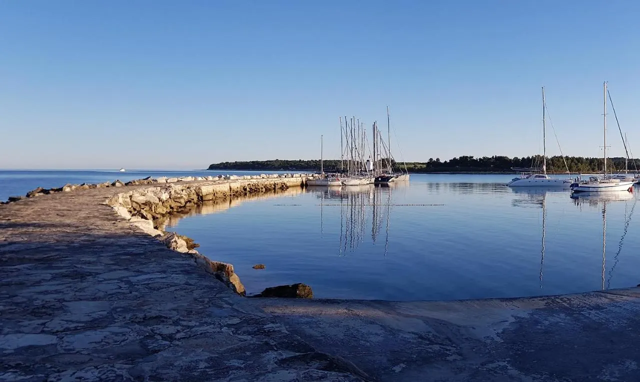 Frühstückspension Ivan B&B, 5 Star Superior Room, Near The See And Park Novigrad Istria